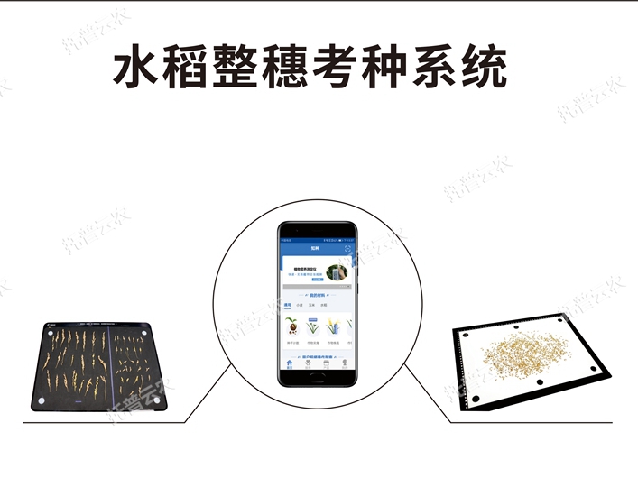 水稻整穗考種測(cè)量系統(tǒng)TPDS-X-1 plus